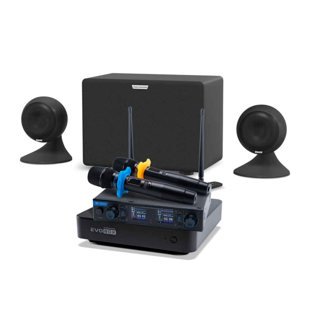 караоке-комплект EVOBOX + EvoSound Sphere 2.1 в Великом Устюге