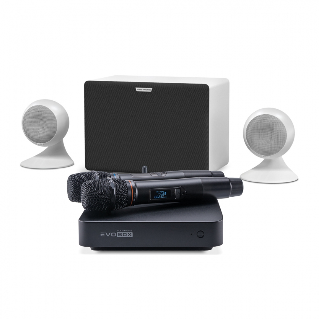 караоке-комплект EVOBOX Classic + EvoSound Sphere 2.1 в Великом Устюге