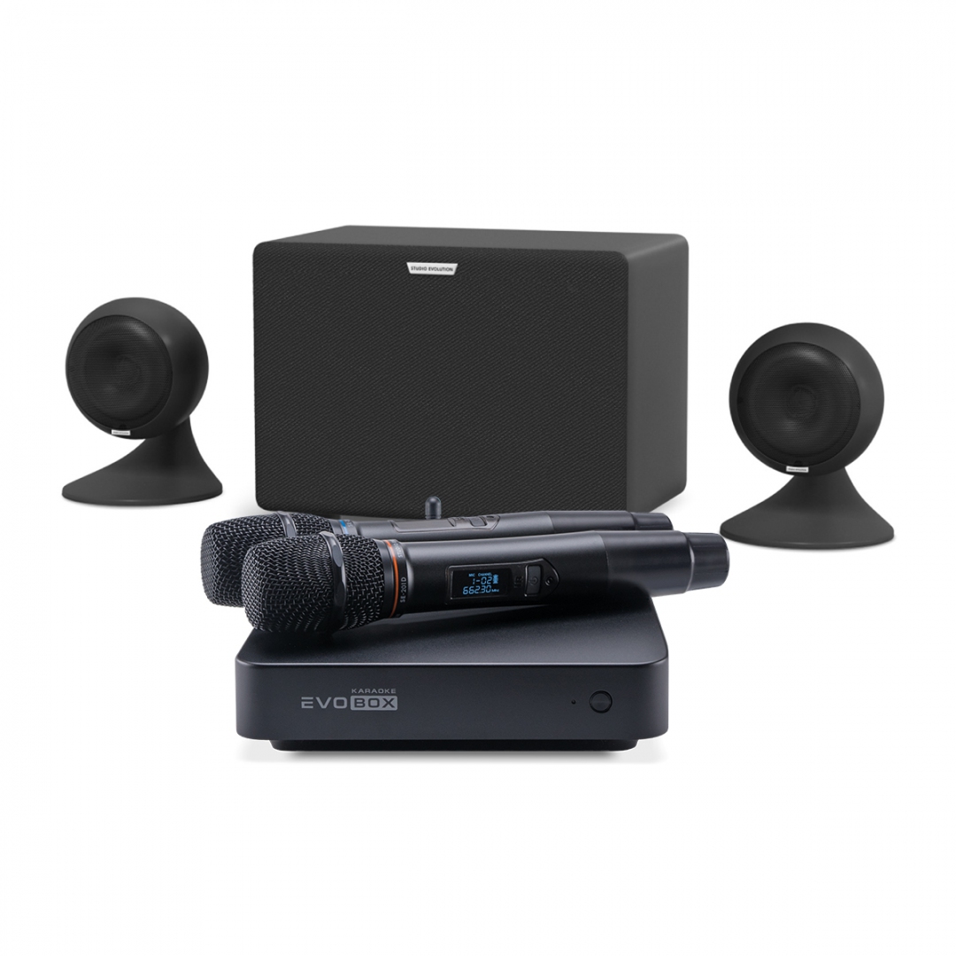 караоке-комплект EVOBOX Plus + EvoSound Sphere 2.1 в Великом Устюге