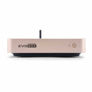 EVOBOX Plus караоке-система для дома в Великом Устюге