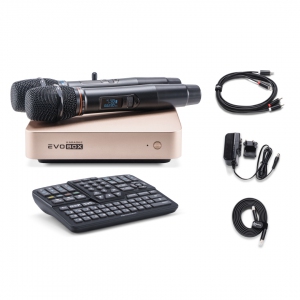 EVOBOX Plus караоке-система для дома в Великом Устюге